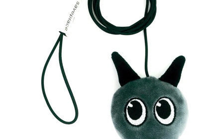 Why In-Person Dog Training Might Be the Breakthrough You and Your Dog Need