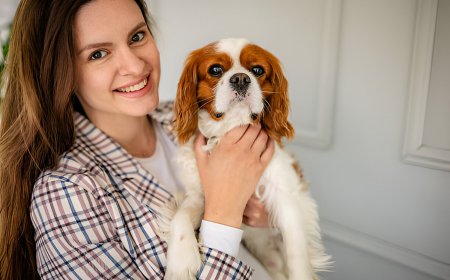 Animal Care Classes Online That Combine Flexibility and Real Results