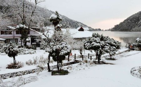 Experience the Beauty of Snow View Point Nainital Today