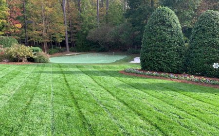 Landscape Maintenance Near Me