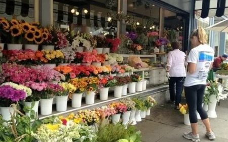Same-Day Delivery Options for Flowers Toronto Wide