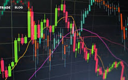 Crypto Trading Platforms Your Ultimate Guide to Navigating the Digital Markets