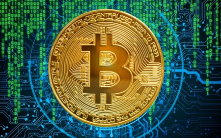 What Is a Sol Volume Bot and How Does It Work?