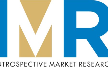Waterbased Adhesive Market Trends Report: Long-Term Outlook Through 2032