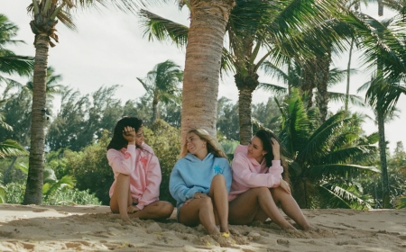 Pink Palm Puff Hoodie & Collection Where Color, Comfort, and Culture Collide