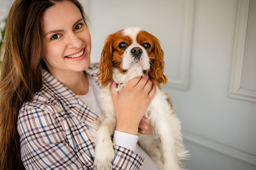 Animal Care Classes Online That Combine Flexibility and Real Results