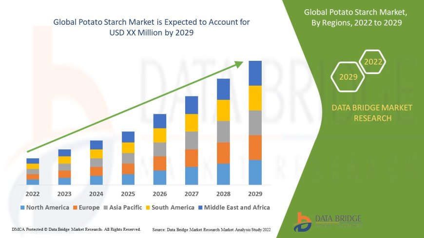 Clean Label and Gluten-Free Trends Drive Potato Starch Market Expansion
