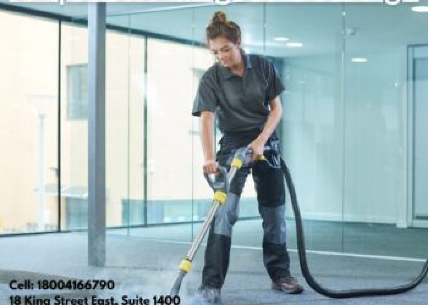 Why Carpet Cleaning Is Vital for a Comfortable Living Space