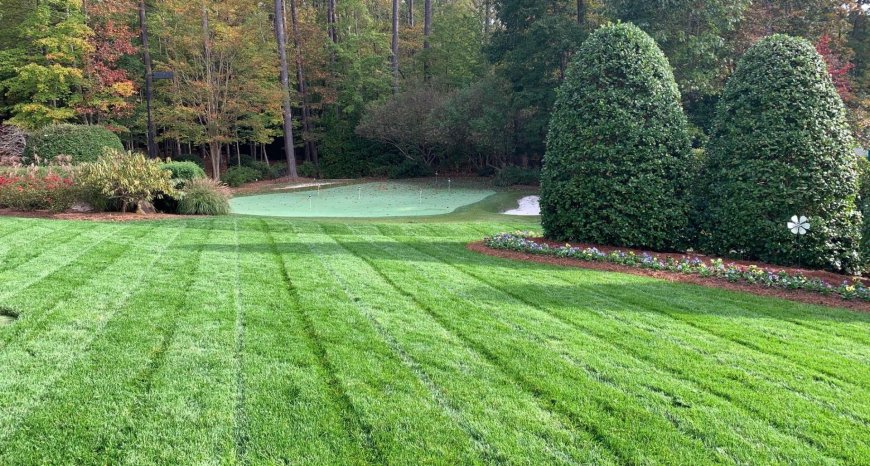 Landscape Maintenance Near Me