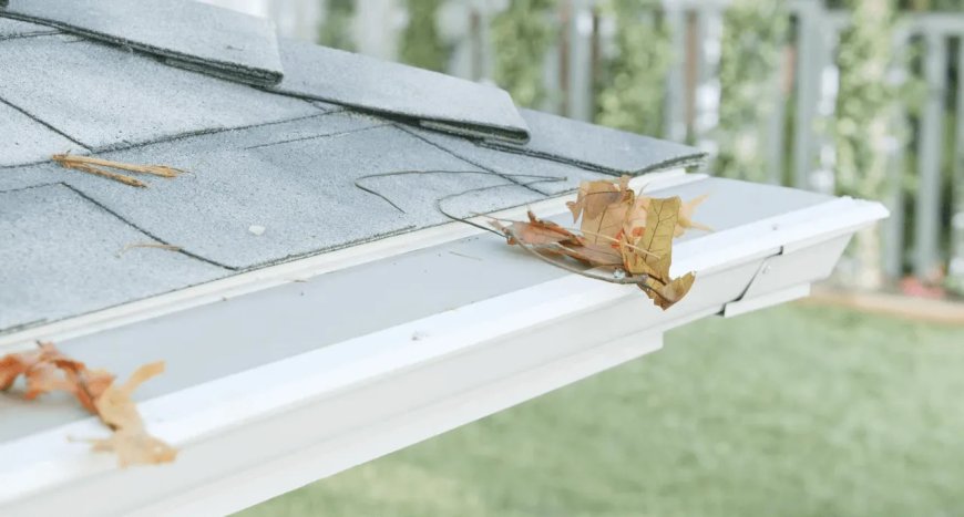 Leaf Screens Cleaning Broken Arrow, OK