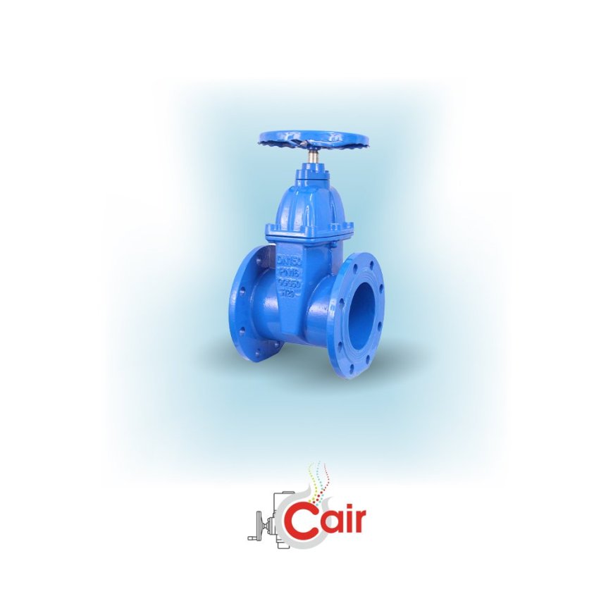 From Quality to Innovation – Why resilientgatevalve Leads India’s Valve Industry