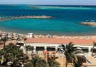 Why Your Next Trip Should Include a Red Sea Diving Adventure