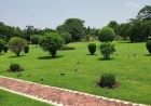 Garden Design Services in Cleveland, TX | DNG AMIGOS Lawn Care Experts