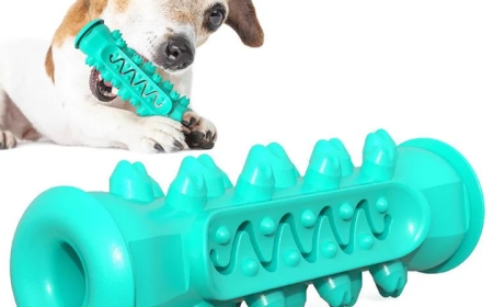 Top Trending Pet Apparel Styles for 2025