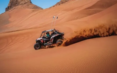 Dune Buggy with Fire Show and Dinner in Dubai | Action and Entertainment