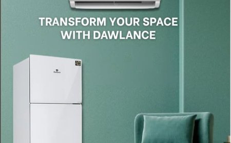 Choosing the Right Fridge When Electricity Isn’t Cheap Anymore