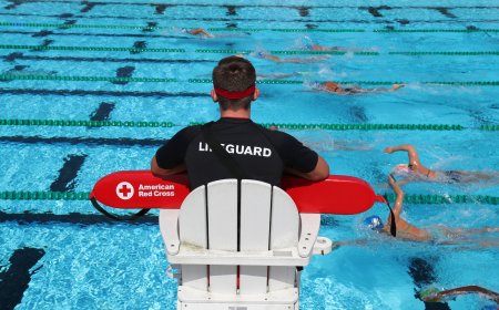 The Official Guide to Lifeguard Certification