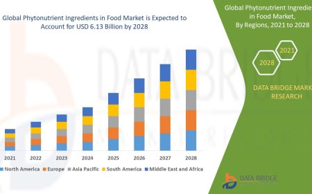 Phytonutrient Ingredients in Food Market Grows with Functional Foods and Plant-Based Nutrition Trends