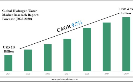 Hydrogen Water Industry Analysis: Companies, Competitors & Outlook 2030