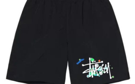 Top 10 Stussy Shorts You Need for This Summer