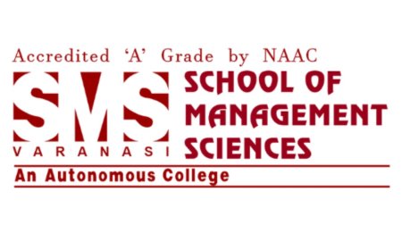 Executive MBA vs Regular MBA: A Cost-Benefit Analysis