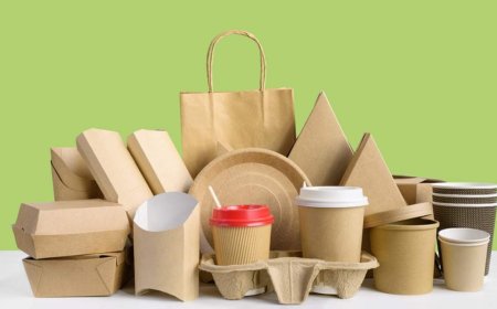 Sugarcane Clamshells: The Eco-Conscious Packaging Solution for Canadian Businesses