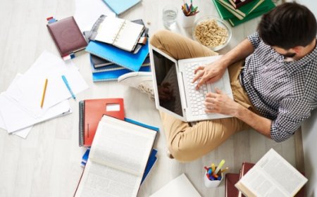 How Professional Support Can Improve University Assignment Outcomes