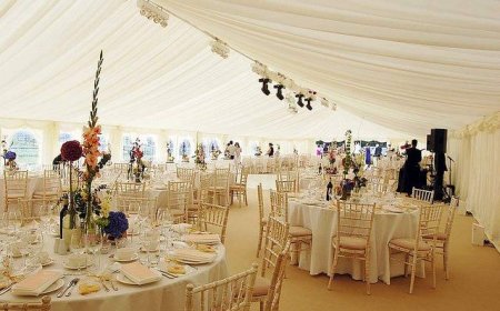 Elevate Your Event with Party Chairs Rental Service and Wedding Equipment Rental