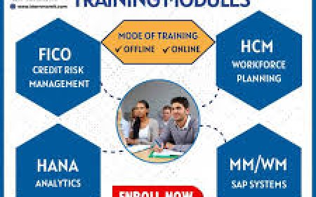 S.A.P institute in Ameerpet