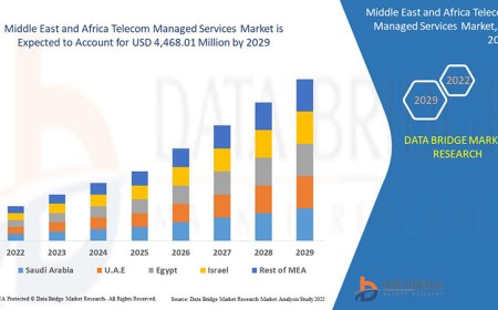 Middle East and Africa Telecom Managed Services Market Analysis On Size and Industry Demand  2029