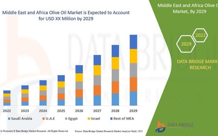 Middle East and Africa Olive Oil Market Analysis On Size and Industry Demand  2031