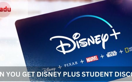 Disney Plus Student Discount: An Enjoyable Way to Save on Streaming