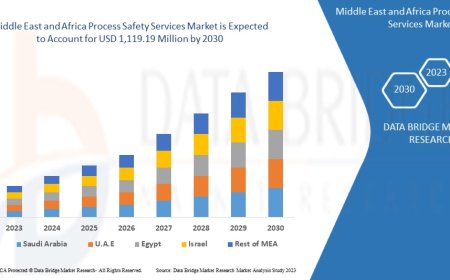Enhancing Industrial Resilience: Growth Prospects of the Middle East and Africa Process Safety Services Market
