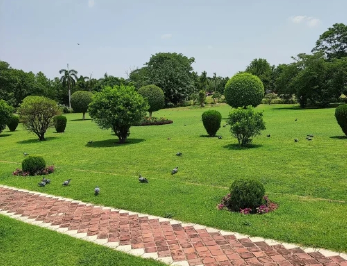 Garden Design Services in Cleveland, TX | DNG AMIGOS Lawn Care Experts