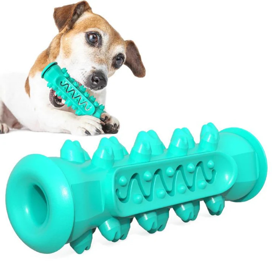 Top Trending Pet Apparel Styles for 2025