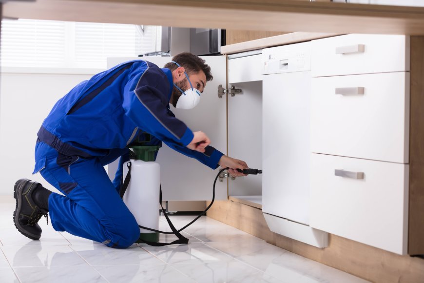 Pest Control Brooklyn NY Tips That’ll Keep Your Home Safe From Unwanted Guest