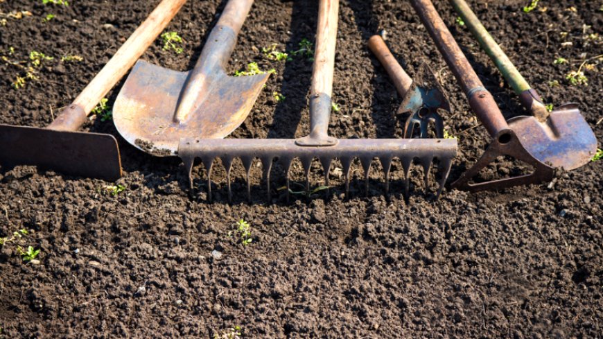 Expert Soil Preparation for Landscaping and Lawn Care in Port Allen, LA