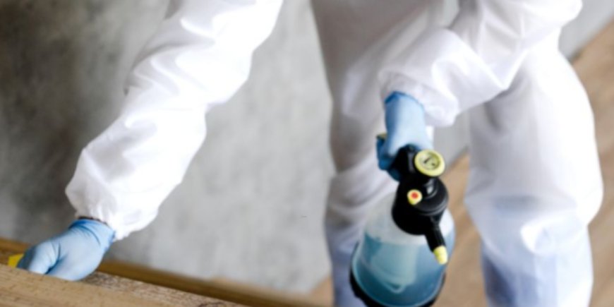 Replacing vs Repainting: What’s the Smarter Choice for Your Property?