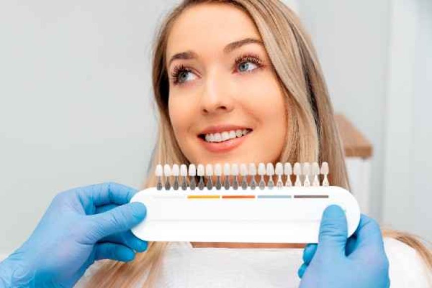 Make the Most of Your Next Hygienist Appointment in Halifax