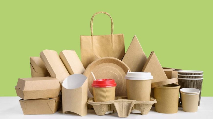 Sugarcane Clamshells: The Eco-Conscious Packaging Solution for Canadian Businesses