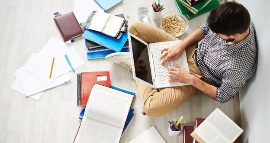 How Professional Support Can Improve University Assignment Outcomes