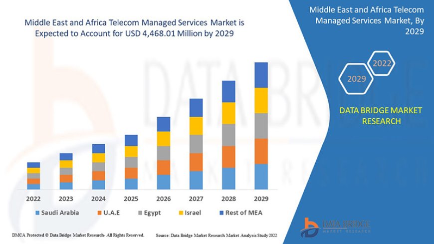 Middle East and Africa Telecom Managed Services Market Analysis On Size and Industry Demand 2029