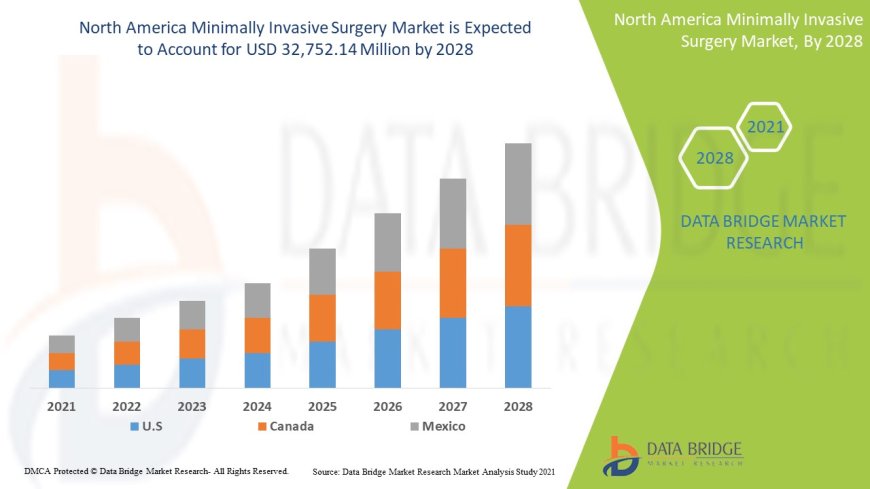 North America Minimally Invasive Market Analysis On Size and Industry Demand 2028