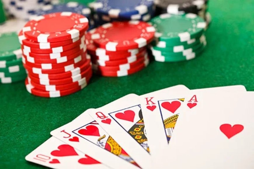 Top Tips to Maximize Your Dolfwin Casino No Deposit Bonus