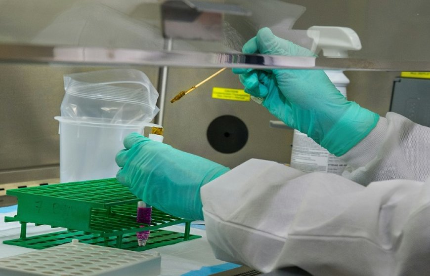 Exosomes for Cosmetics: The Future of Personalized, Sustainable Skincare