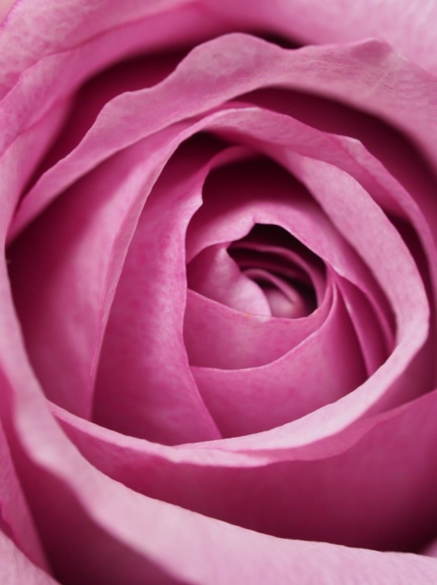 Awaken Your Inner Bloom with Osho Mystic Rose at Astitva Well Being