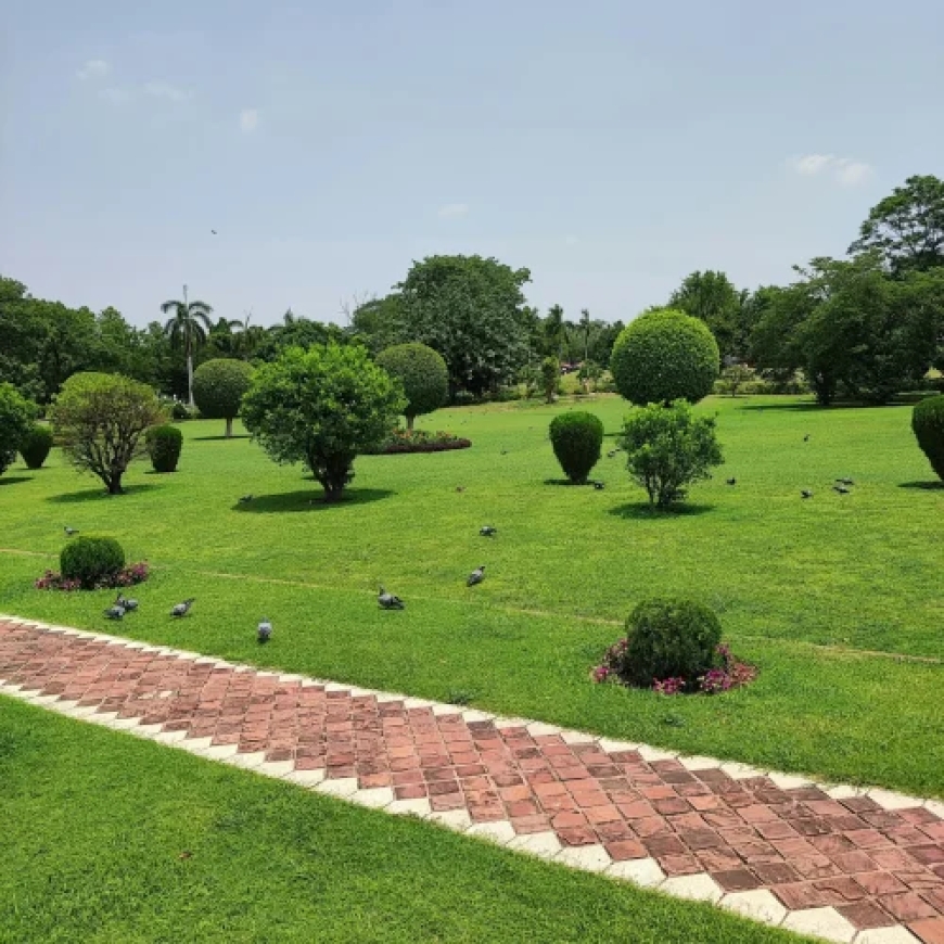 Garden Design Services in Cleveland, TX | DNG AMIGOS Lawn Care Experts