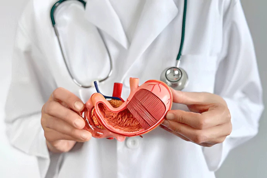 Top Signs You Should See a Gastroenterologist in Bharuch Today