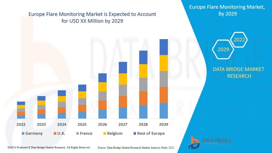 Europe Flare Monitoring Market: Size, Share, and Future Growth